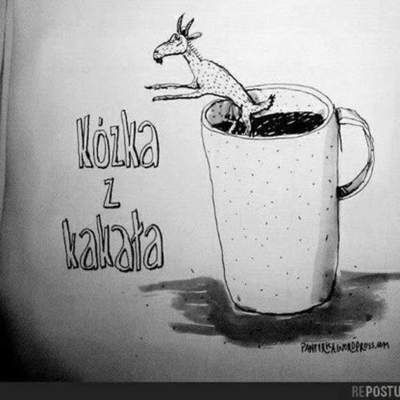 Meet your Posher, Katarzyna - Picture 1 of 1